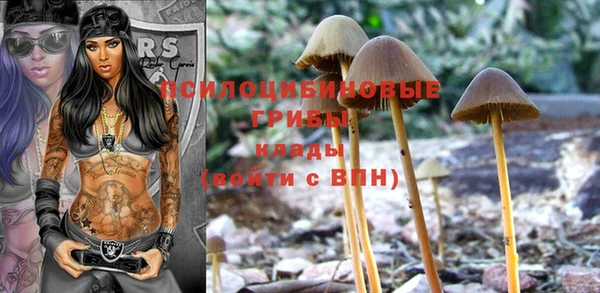 прущая мука Абаза