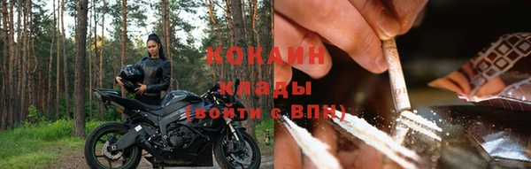 ГАЛЛЮЦИНОГЕННЫЕ ГРИБЫ Алзамай