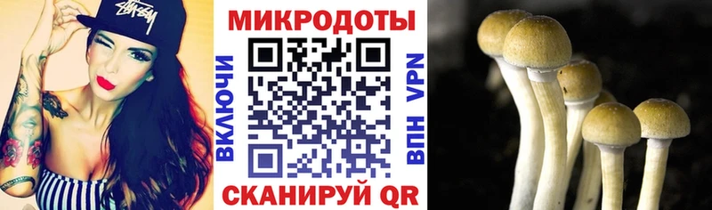 Псилоцибиновые грибы MAGIC MUSHROOMS  наркошоп  Осташков 